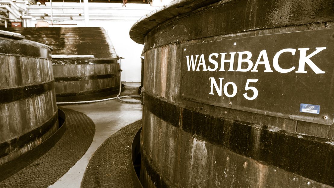 whisky fermentation stage