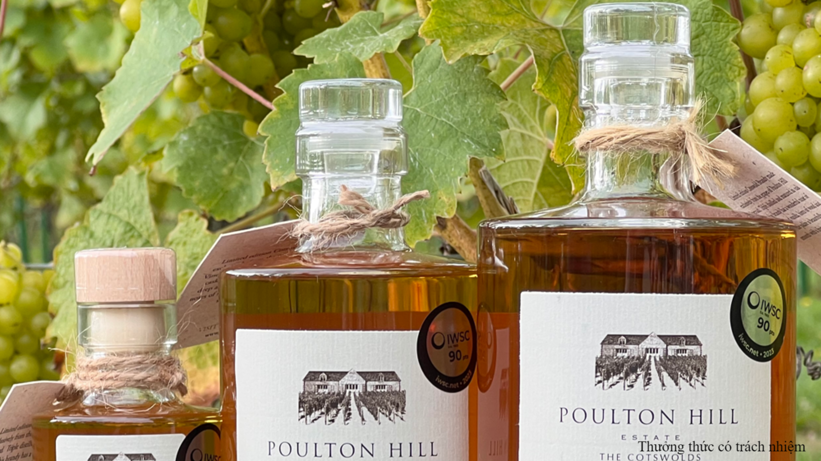 Việc sản xuất Brandy phát triển mạnh ở những vùng có điều kiện trồng nho thuận lợi.