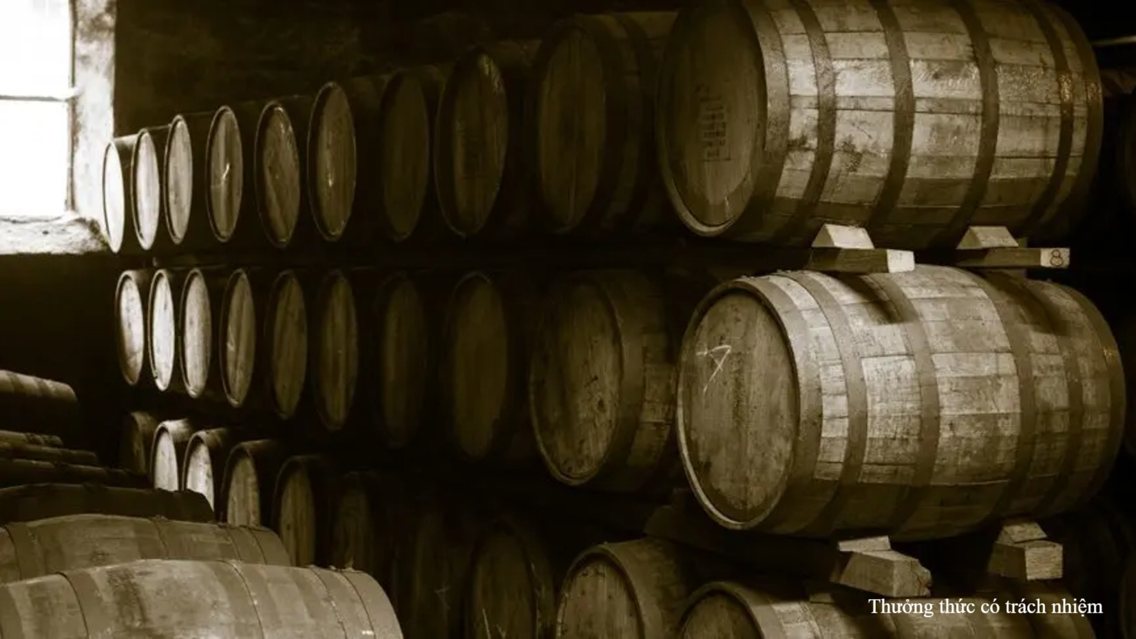 Thùng ủ rượu Cognac phải là thùng gỗ sồi Pháp đáp ứng được các tiêu chuẩn khắt khe.