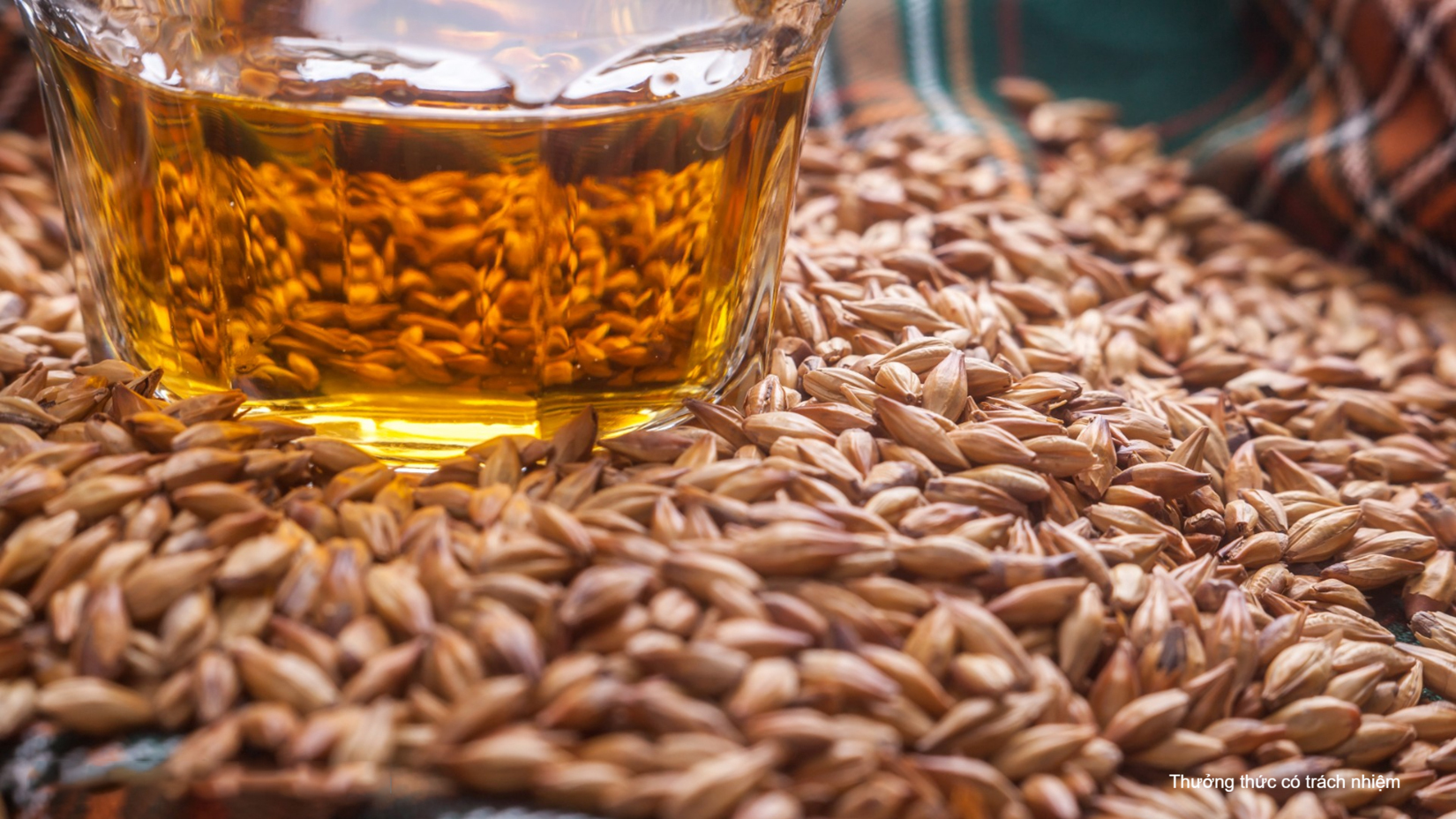 Các dòng rượu Whisky nổi bật với Whisky mạch nha và Whisky pha trộn.