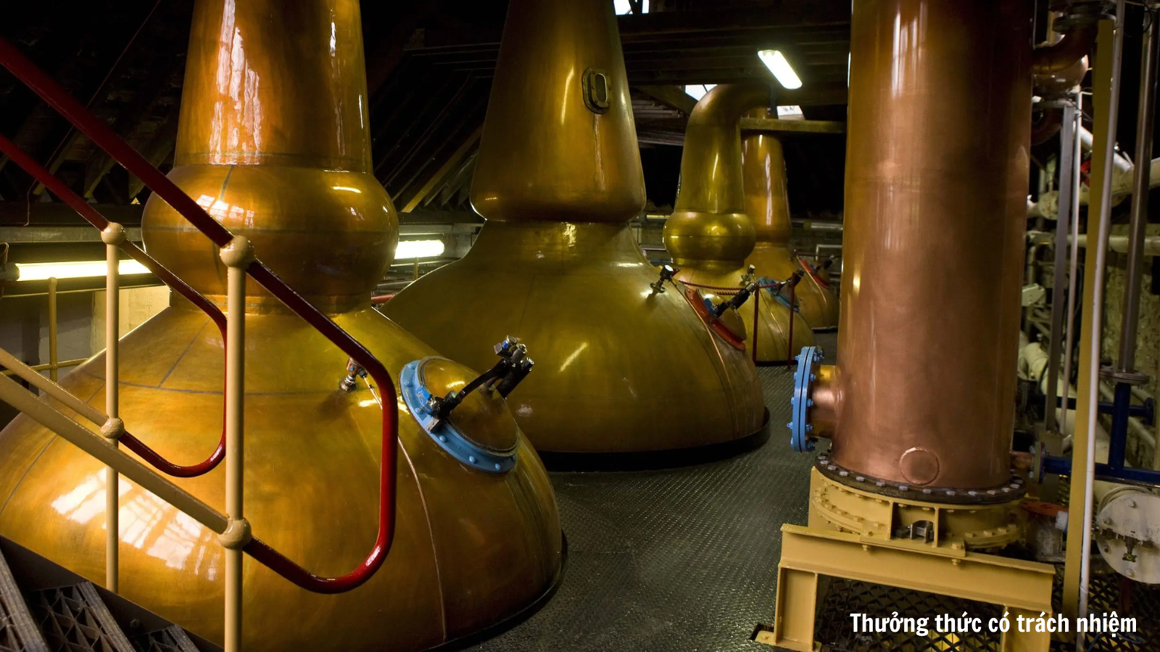 Quy trình sản xuất rượu Scotch Whisky được coi là quy trình tiêu chuẩn để sản xuất Whisky trên toàn thế giới.