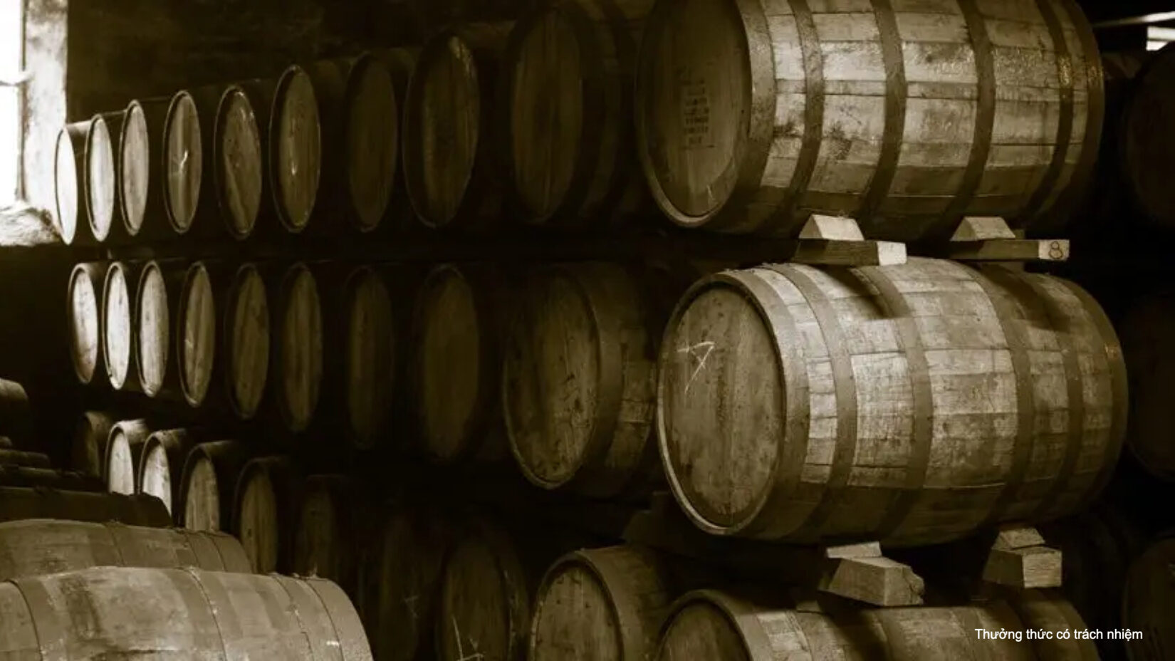 Tùng ủ rượu Chivas